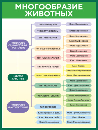 Стенд по биологии Многообразие животных